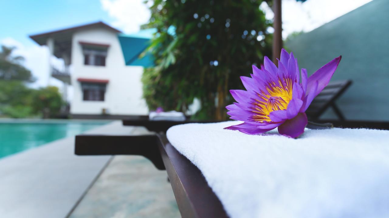 Kaminrich Cottage Matara Exterior foto
